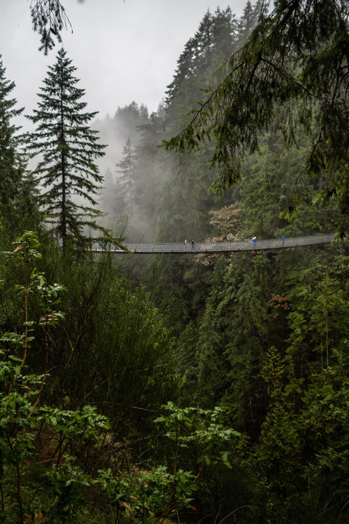 Rainforest to Rockies – das Abenteuer beginnt