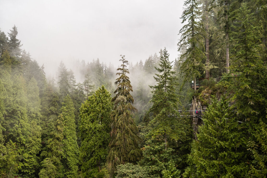 Rainforest to Rockies – das Abenteuer beginnt