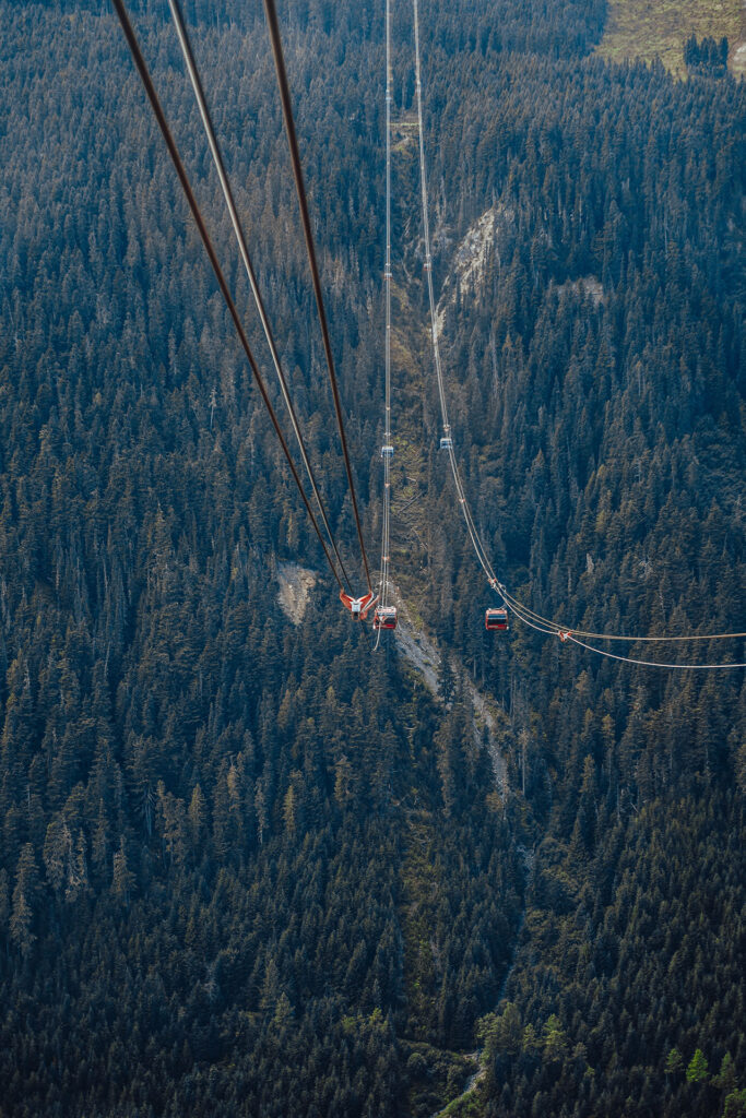 Rainforest to Rockies – das Abenteuer beginnt