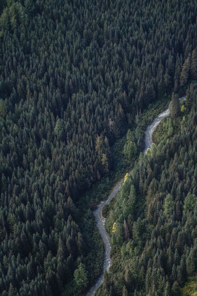 Rainforest to Rockies – das Abenteuer beginnt