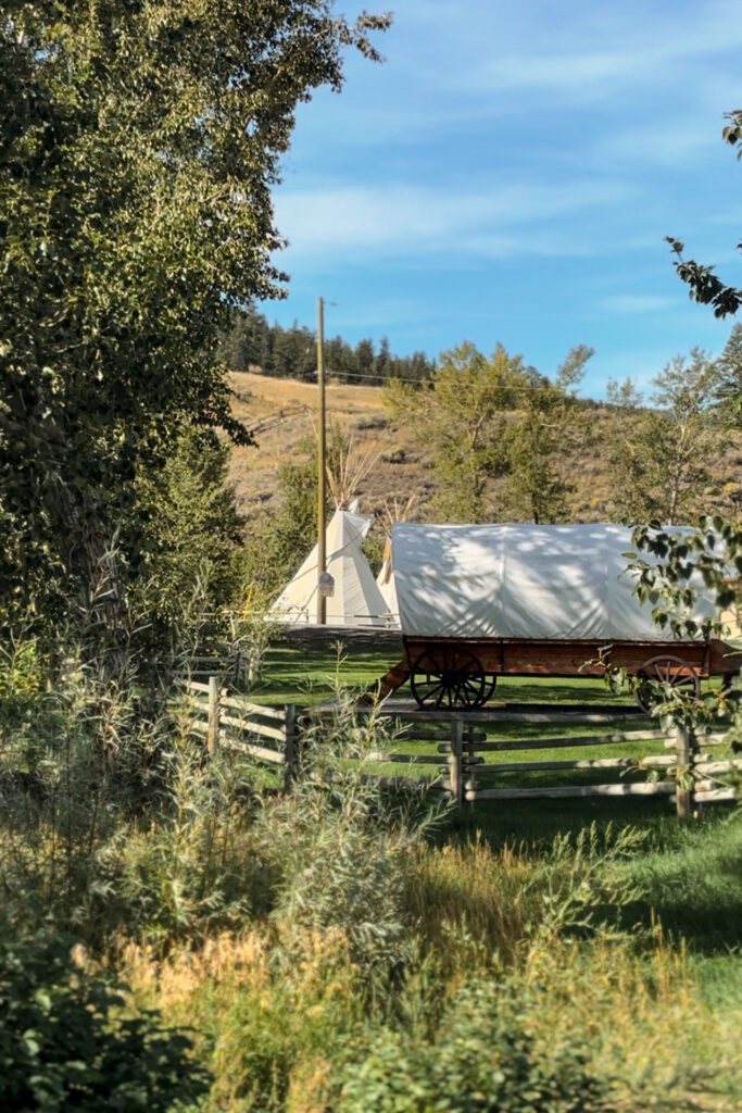 Rainforest to Rockies – das Abenteuer beginnt