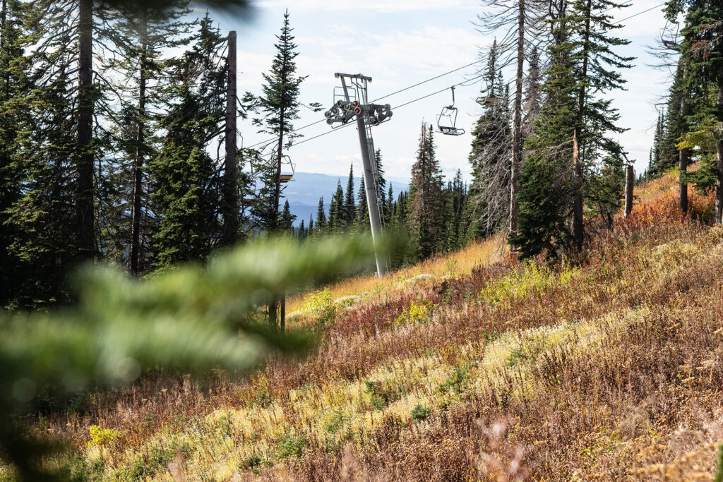 Kanadas Westen – von springenden Lachsen & fliegenden Äxten