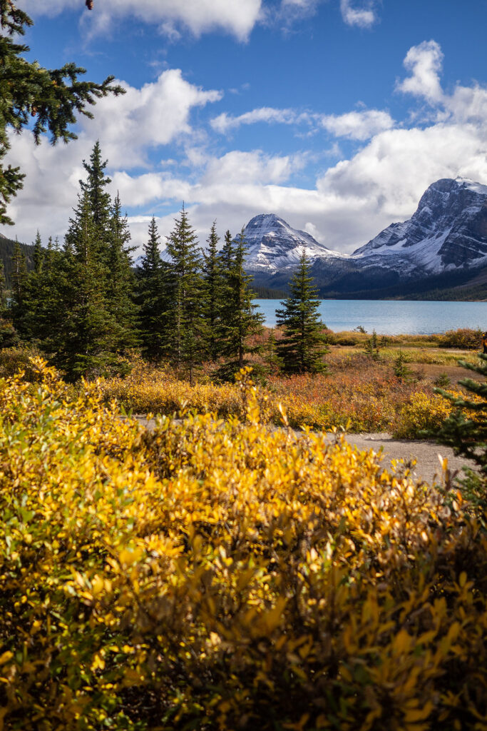 Icefield Parkway – unterwegs auf der schönsten Straße Kanadas