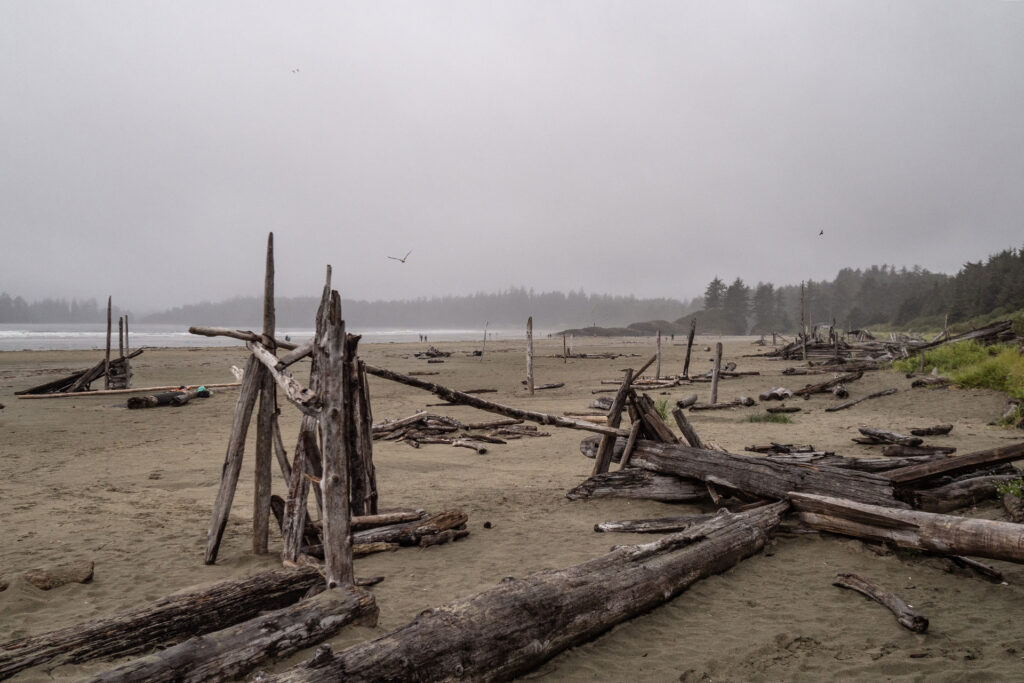 Ocean Vibes auf Vancouver Island