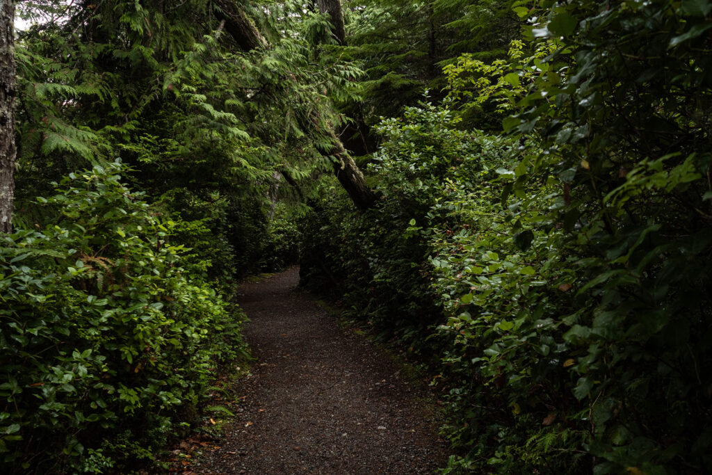 Ocean Vibes auf Vancouver Island