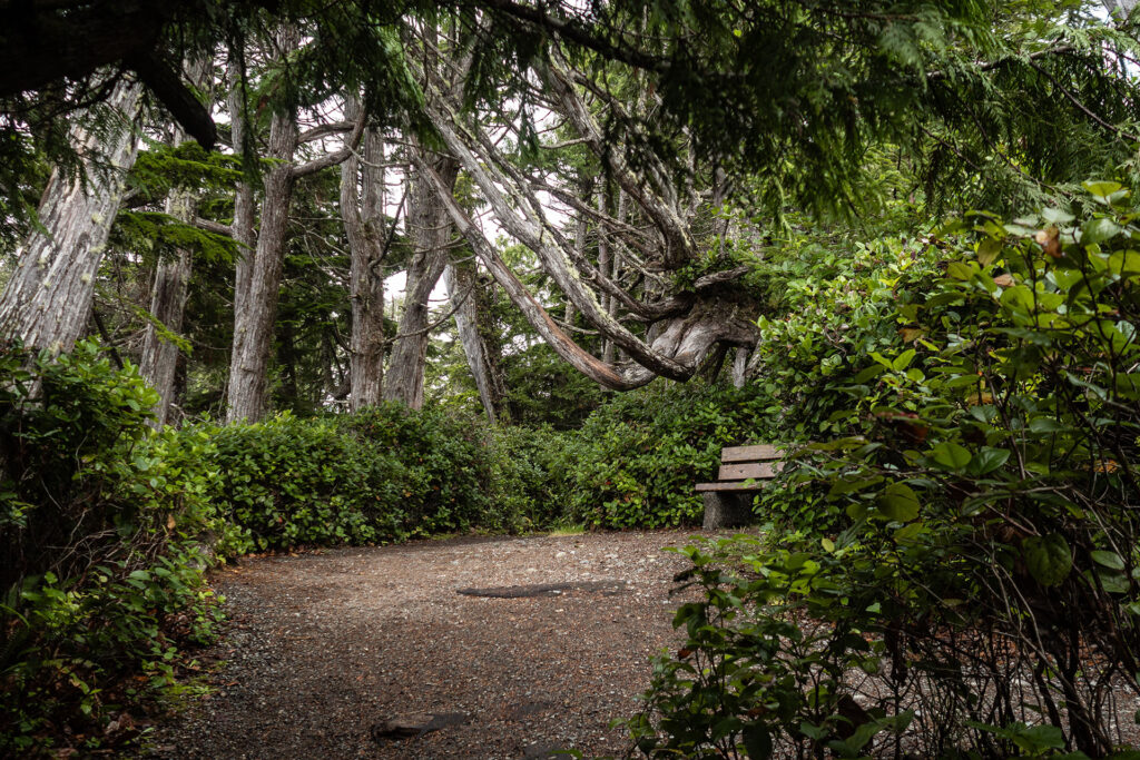 Ocean Vibes auf Vancouver Island