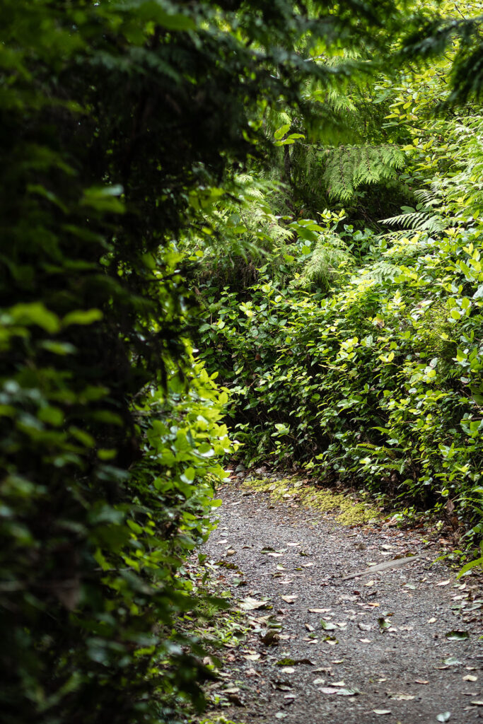 Ocean Vibes auf Vancouver Island