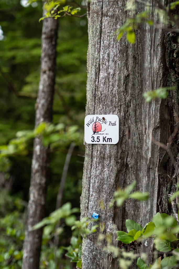 Ocean Vibes auf Vancouver Island