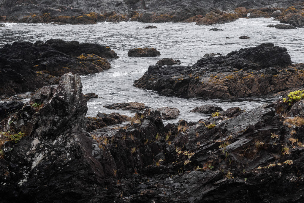 Ocean Vibes auf Vancouver Island