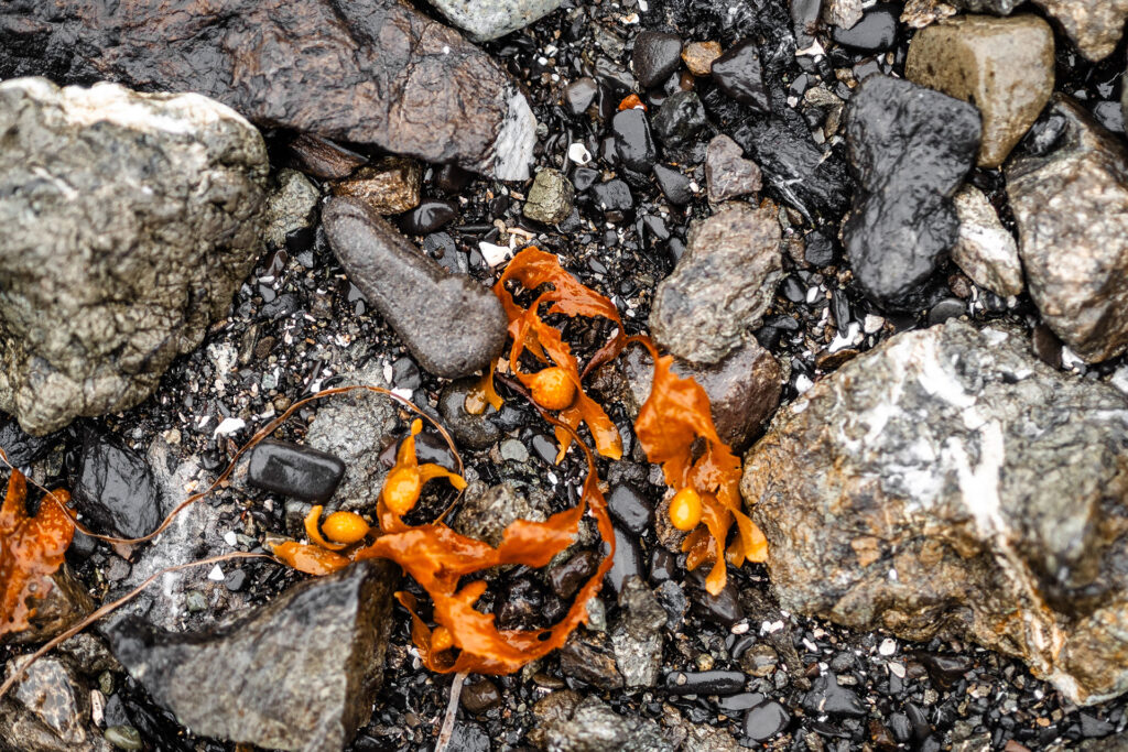Ocean Vibes auf Vancouver Island