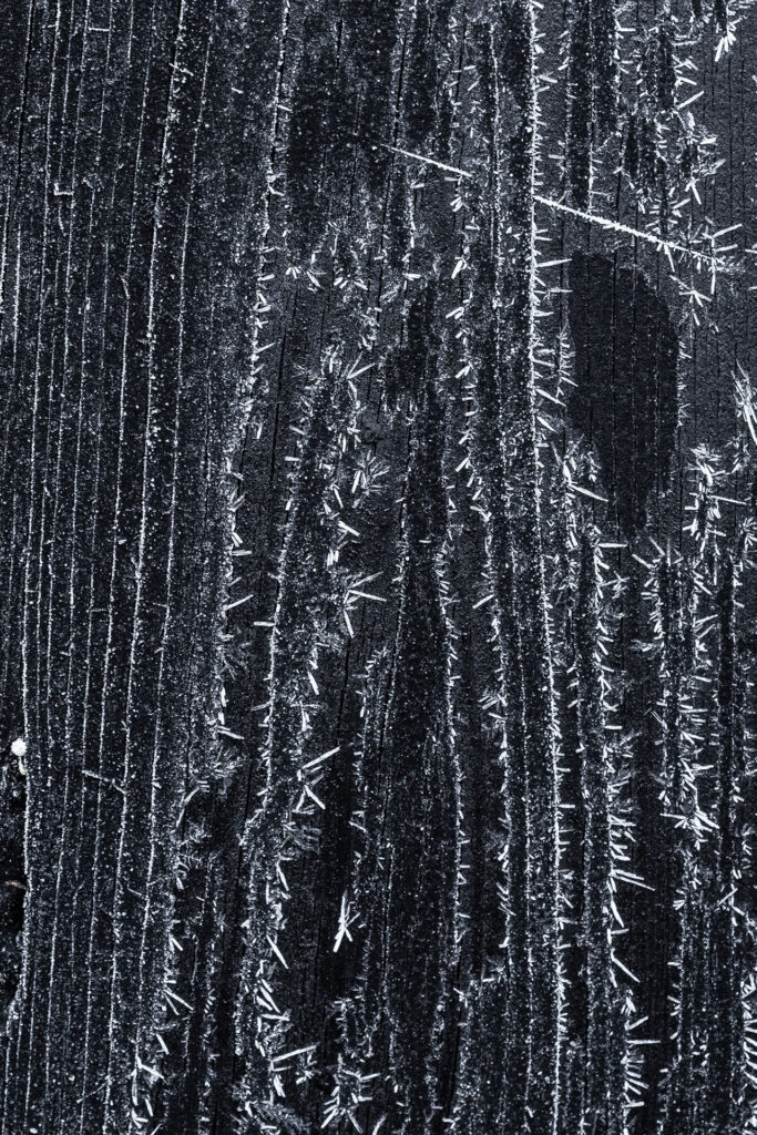 Das kleine Schwarze hinter der Düne