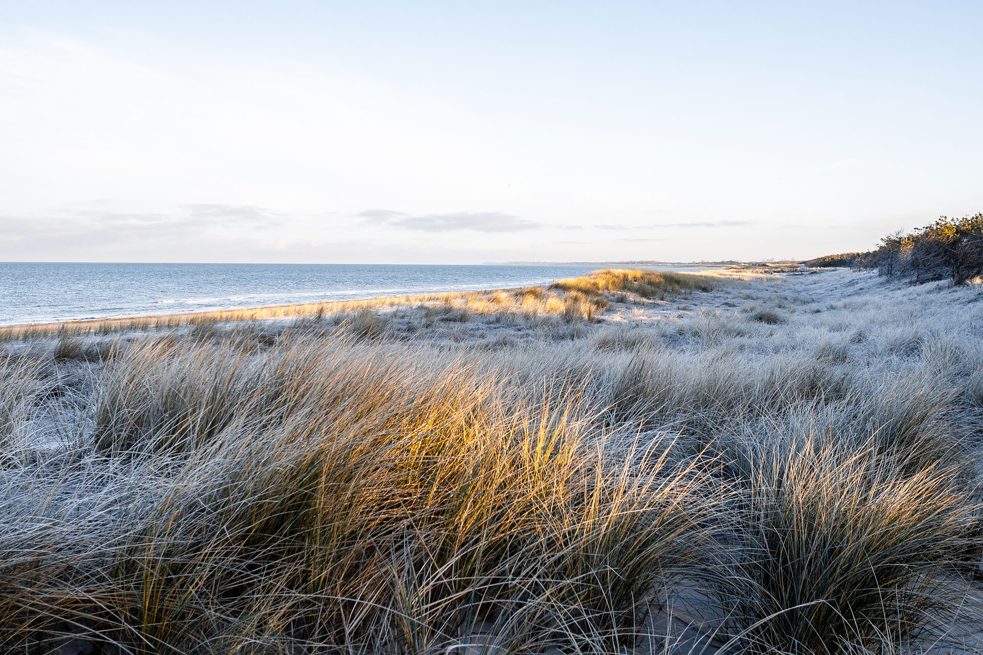 Das kleine Schwarze hinter der Düne