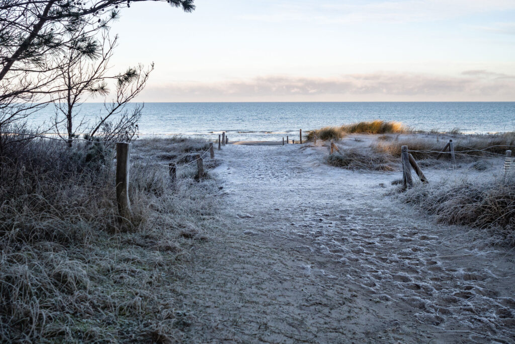 Das kleine Schwarze hinter der Düne