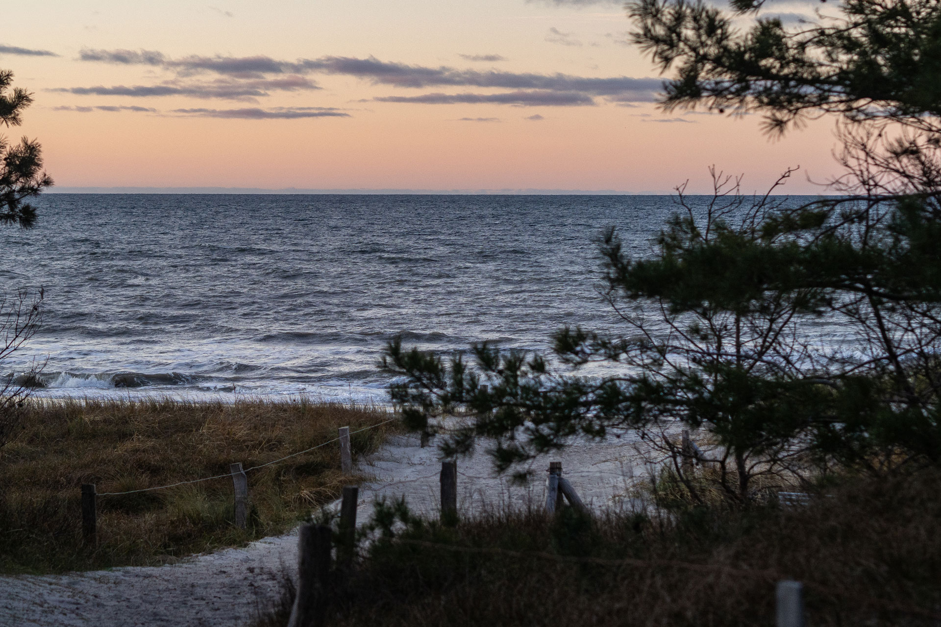 Das kleine Schwarze hinter der Düne