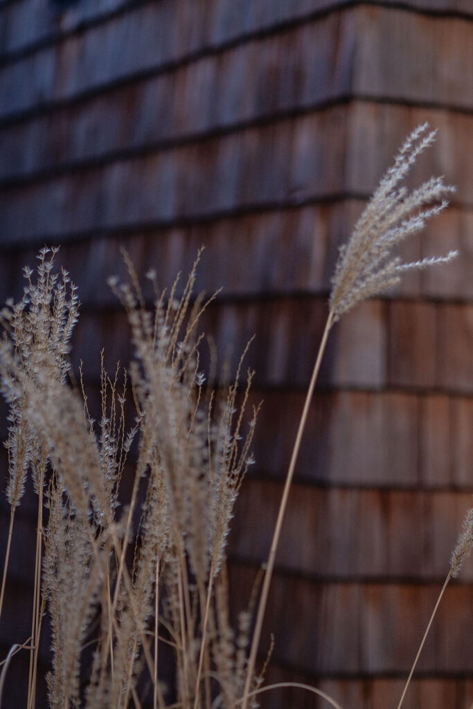 Hinterm See geht’s weiter…