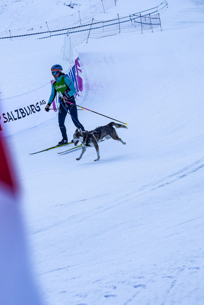 Hinterm See geht’s weiter…