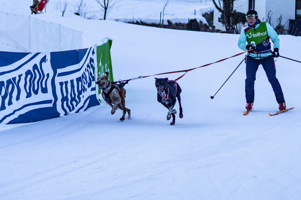 Hinterm See geht’s weiter…
