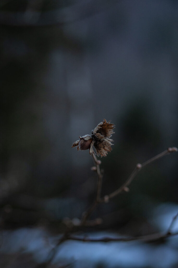 Hinterm See geht’s weiter…