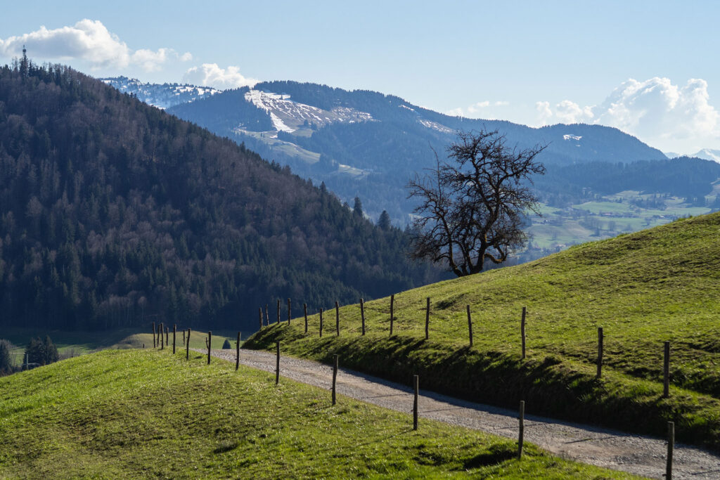 Wiedersehen im Allgäu – ein Besuch im Haubers Naturresort