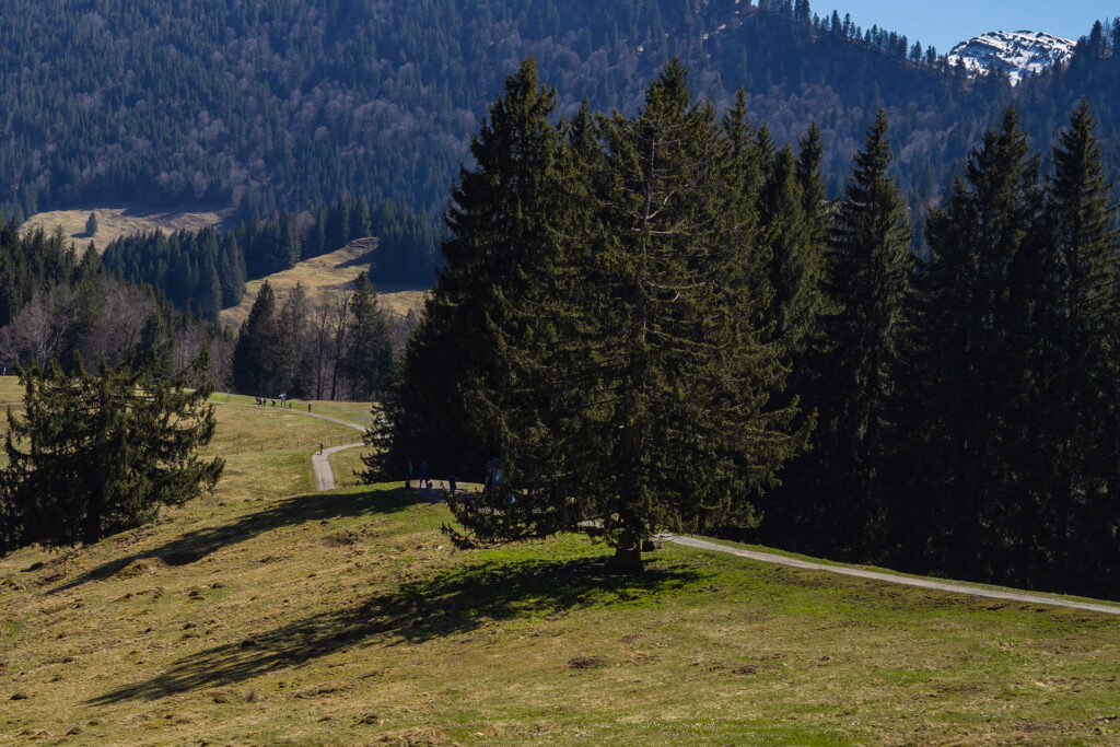 Wiedersehen im Allgäu – ein Besuch im Haubers Naturresort