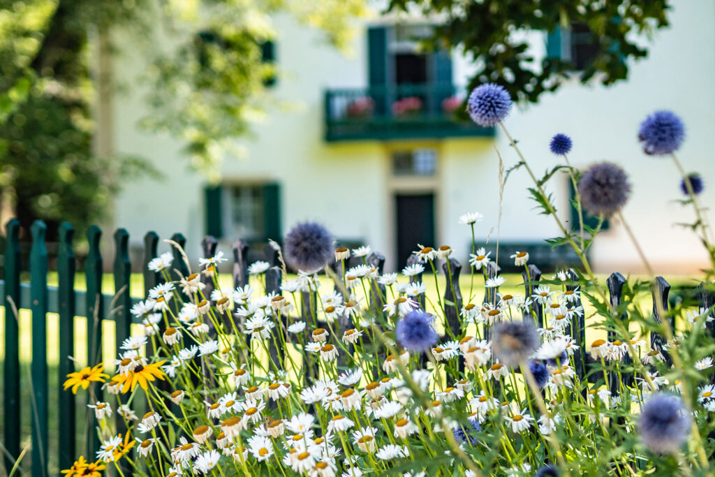 Familienglück über den Wolken – Urlaub am Rittner Sonnenplateau