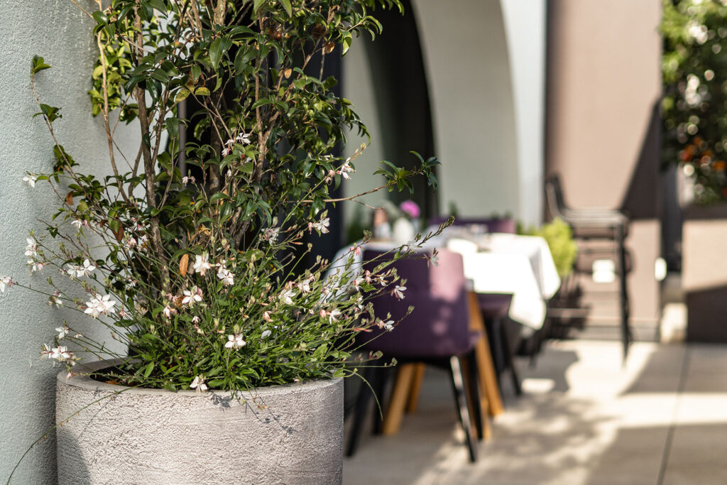 Familienglück über den Wolken – Urlaub am Rittner Sonnenplateau