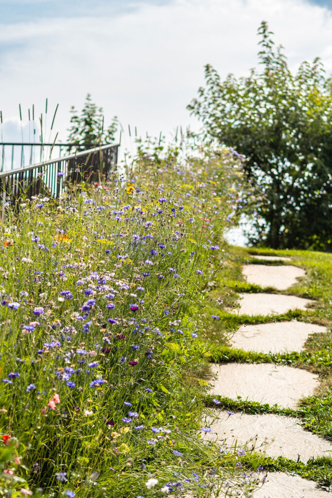 Familienglück über den Wolken – Urlaub am Rittner Sonnenplateau