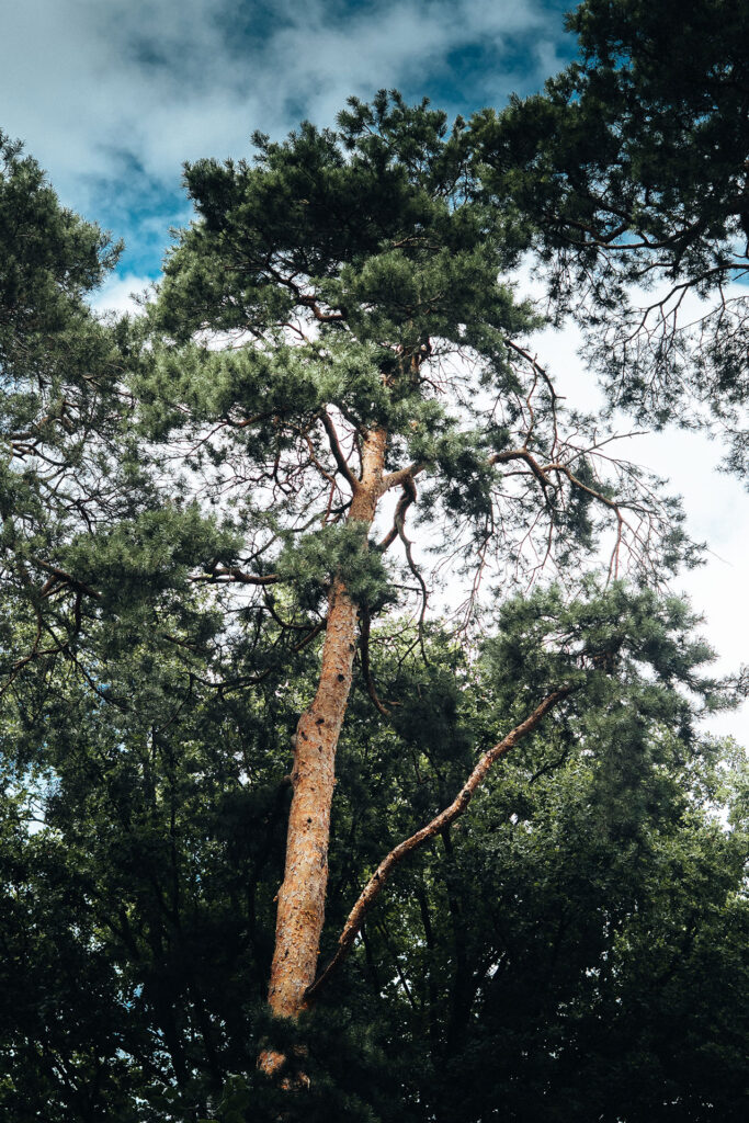 Ein Wochenende Leichtigkeit in der nook society