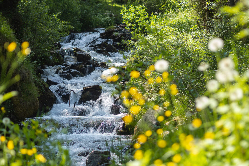 Entspannung und Erleben rund um die Drei Zinnen – der Leitlhof