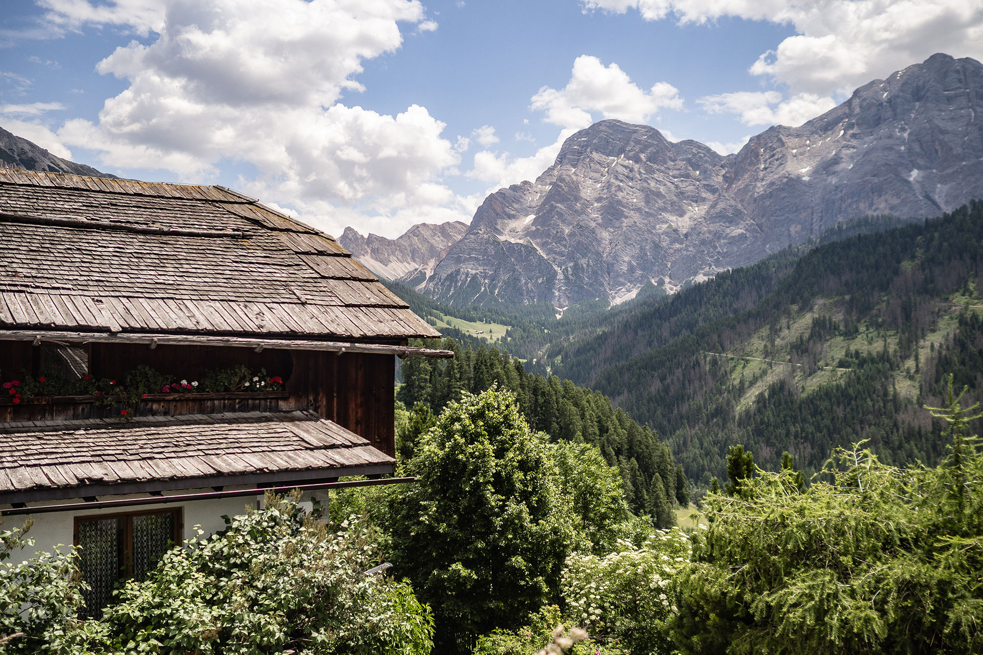 Zwischen Kuhstall und Gipfelglück – Familiensommer mit dem Roten Hahn
