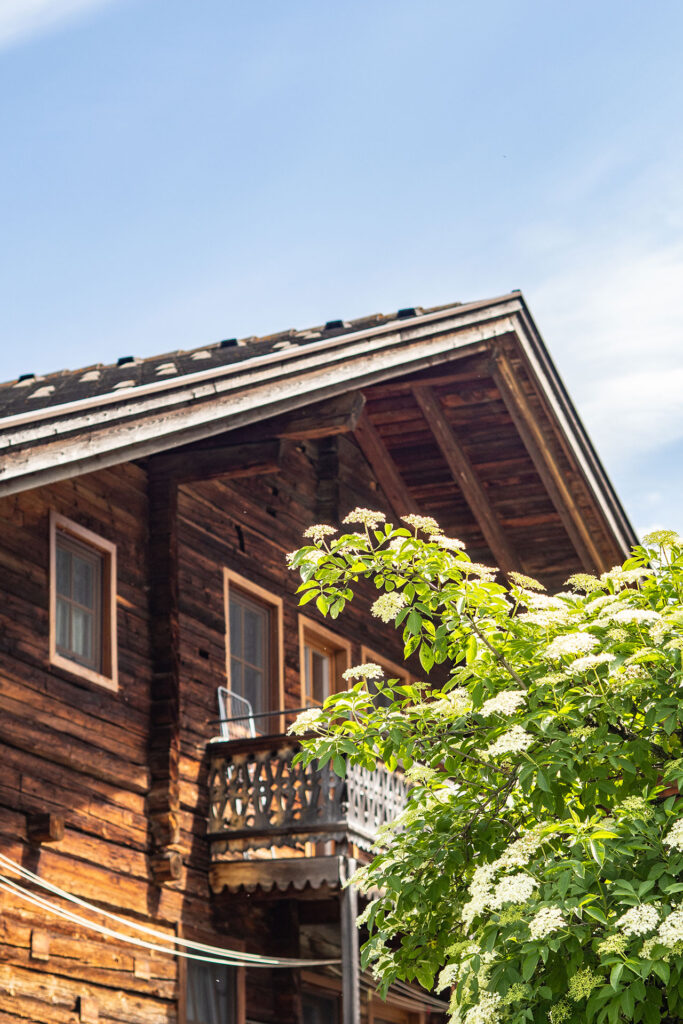 Zwischen Kuhstall und Gipfelglück – Familiensommer mit dem Roten Hahn