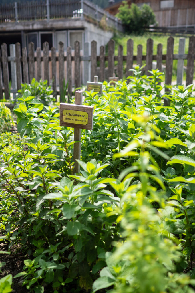 Zwischen Kuhstall und Gipfelglück – Familiensommer mit dem Roten Hahn