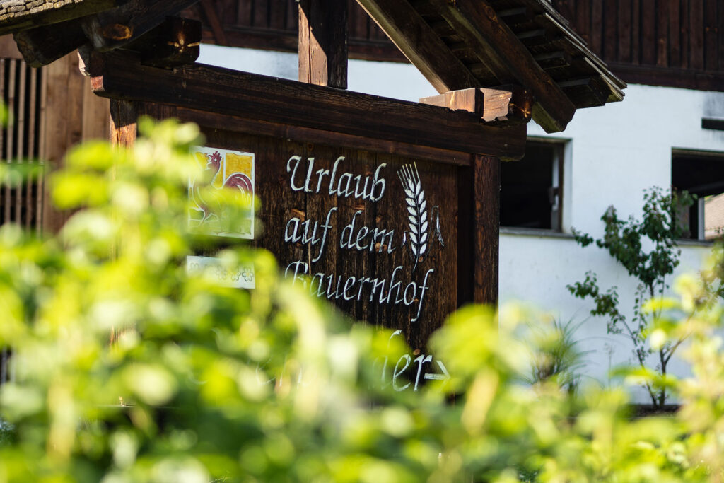 Zwischen Kuhstall und Gipfelglück – Familiensommer mit dem Roten Hahn