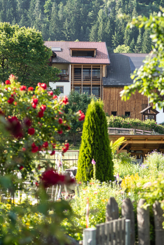 Zwischen Kuhstall und Gipfelglück – Familiensommer mit dem Roten Hahn