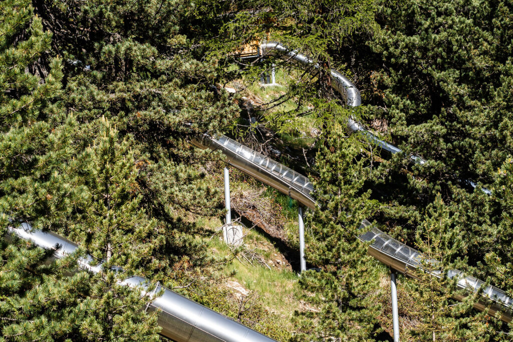 Zwischen Kuhstall und Gipfelglück – Familiensommer mit dem Roten Hahn