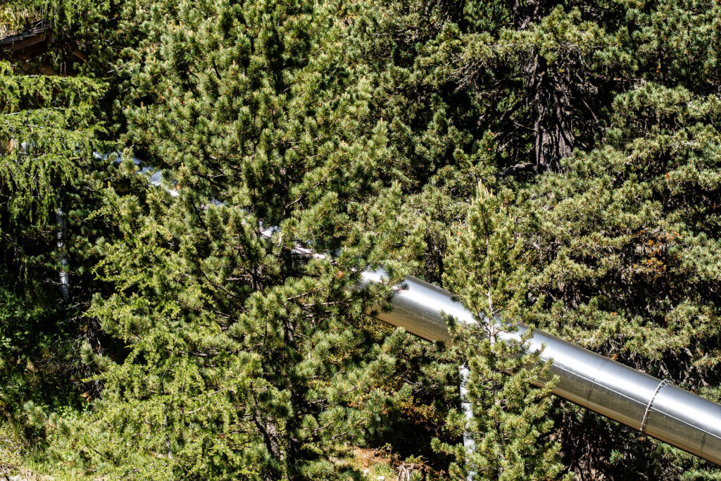 Zwischen Kuhstall und Gipfelglück – Familiensommer mit dem Roten Hahn