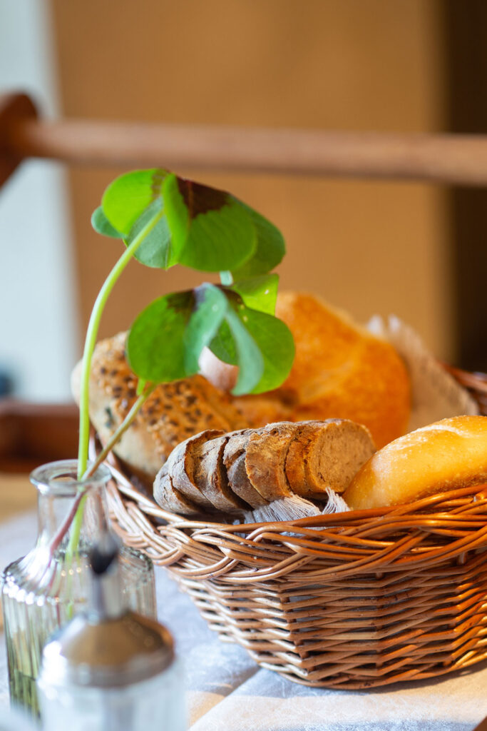 Zwischen Kuhstall und Gipfelglück – Familiensommer mit dem Roten Hahn
