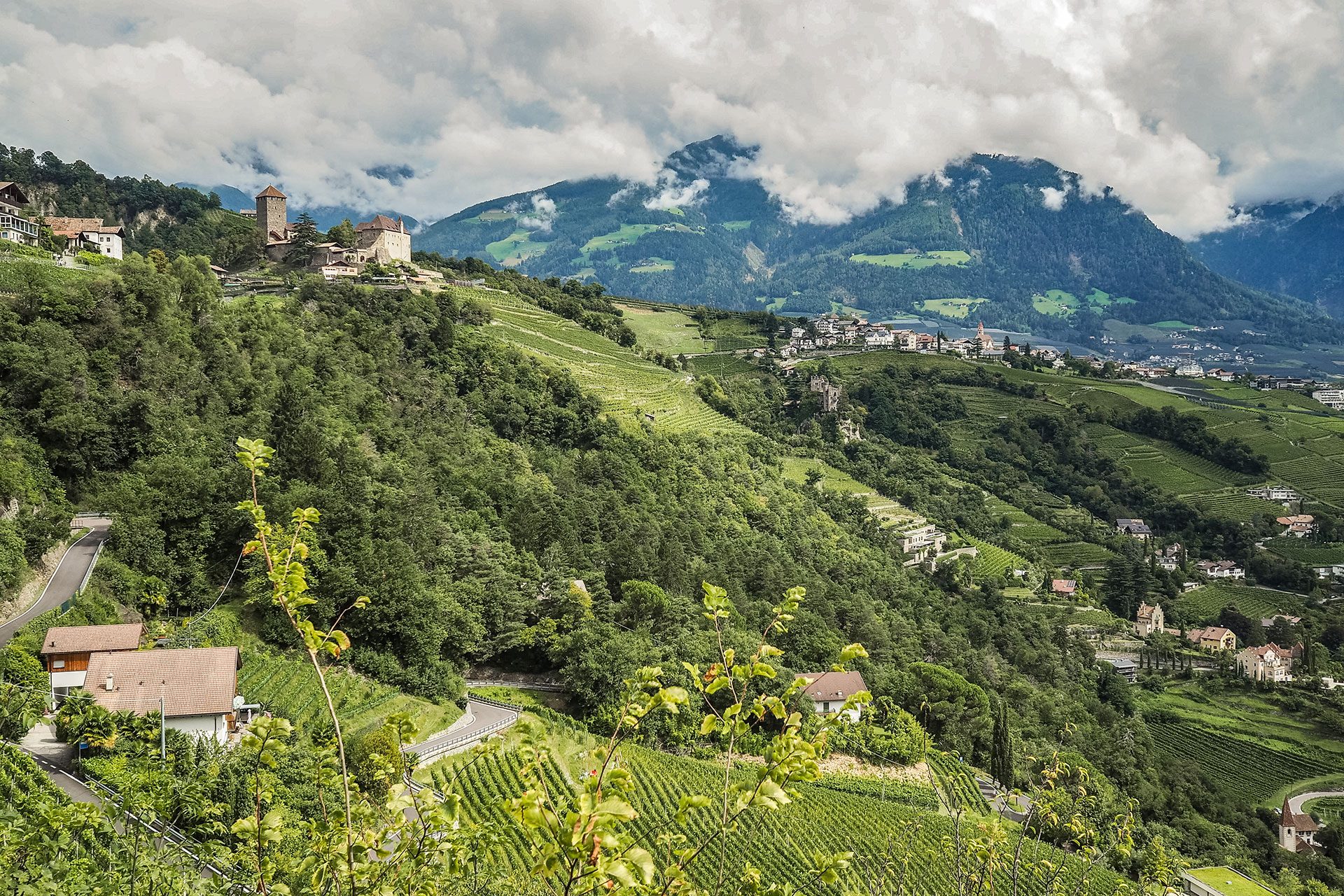 Pool, Palmen und Panorma: Das Laurin in Dorf Tirol