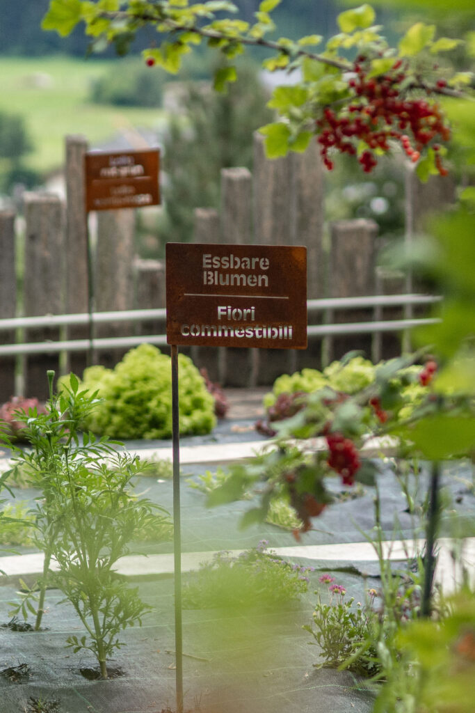 Entspannung und Erleben rund um die Drei Zinnen – der Leitlhof