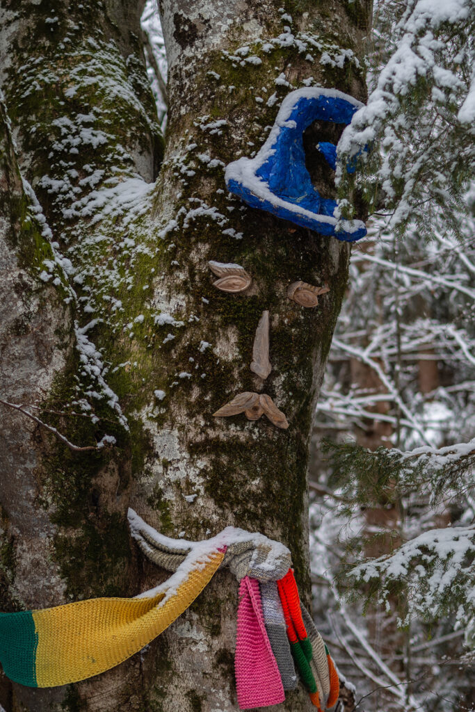 Familien-Skifahren in der Wildschönau: Winterzauber im Drachental