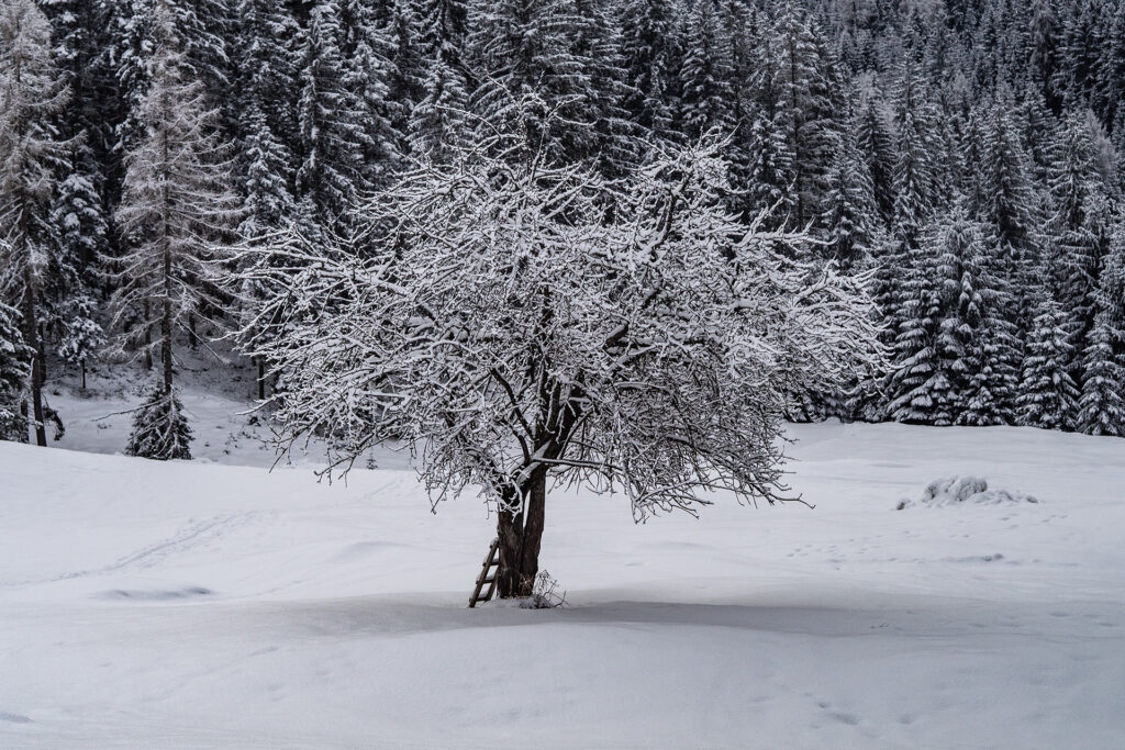 Familien-Skifahren in der Wildschönau: Winterzauber im Drachental