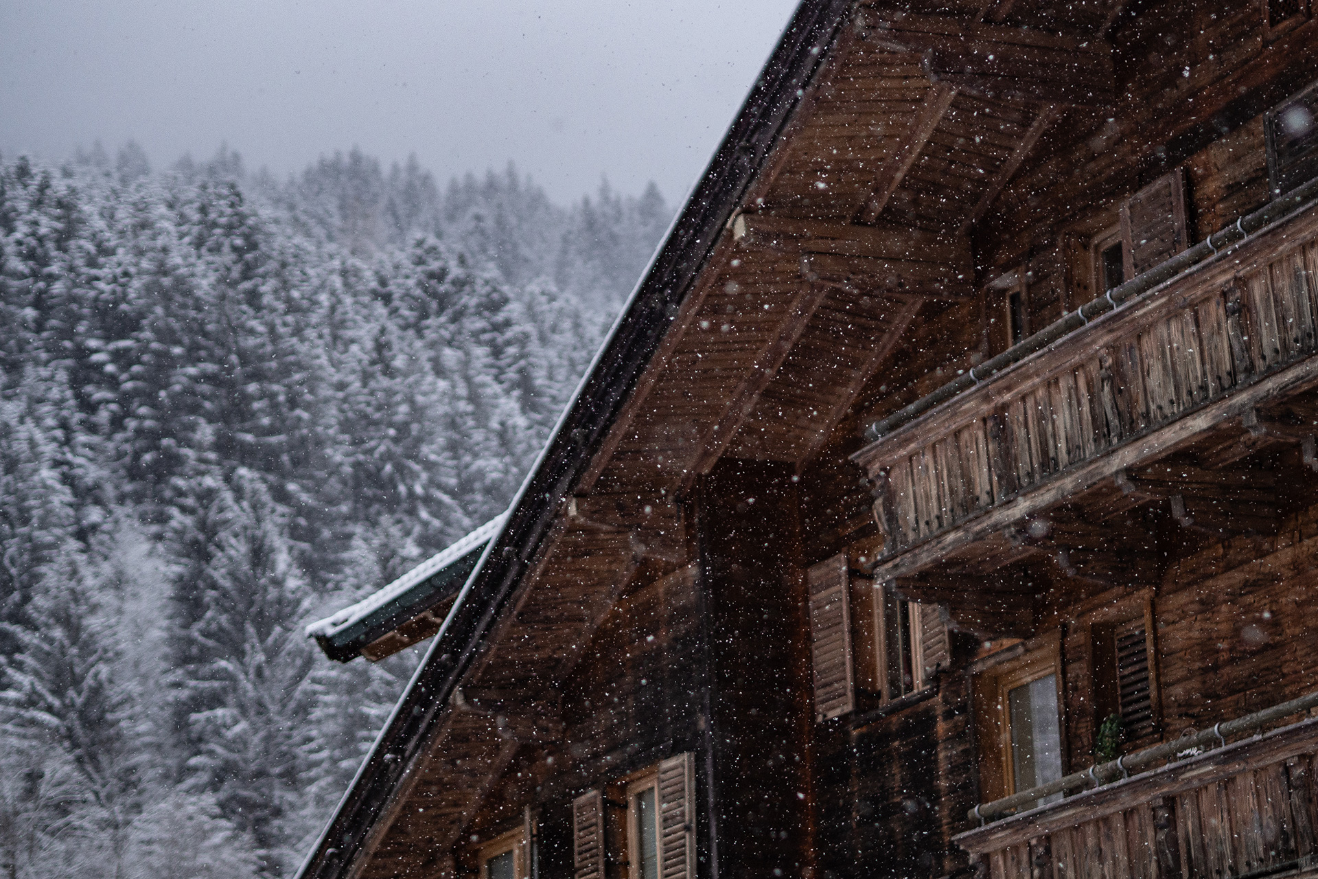 Familien-Skifahren in der Wildschönau: Winterzauber im Drachental