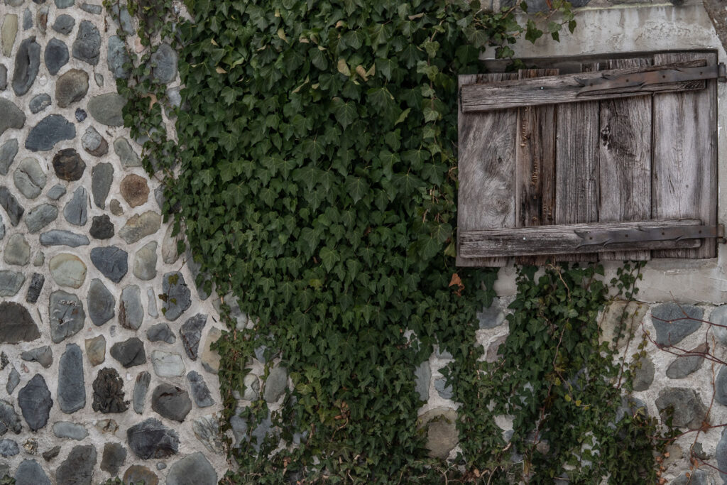 Auszeit unter Berggipfeln: Drei Tage im Hotel Der Löwe