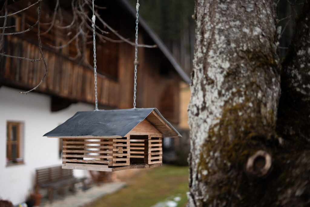 Bis zum Sonnenuntergang. Und noch viel weiter