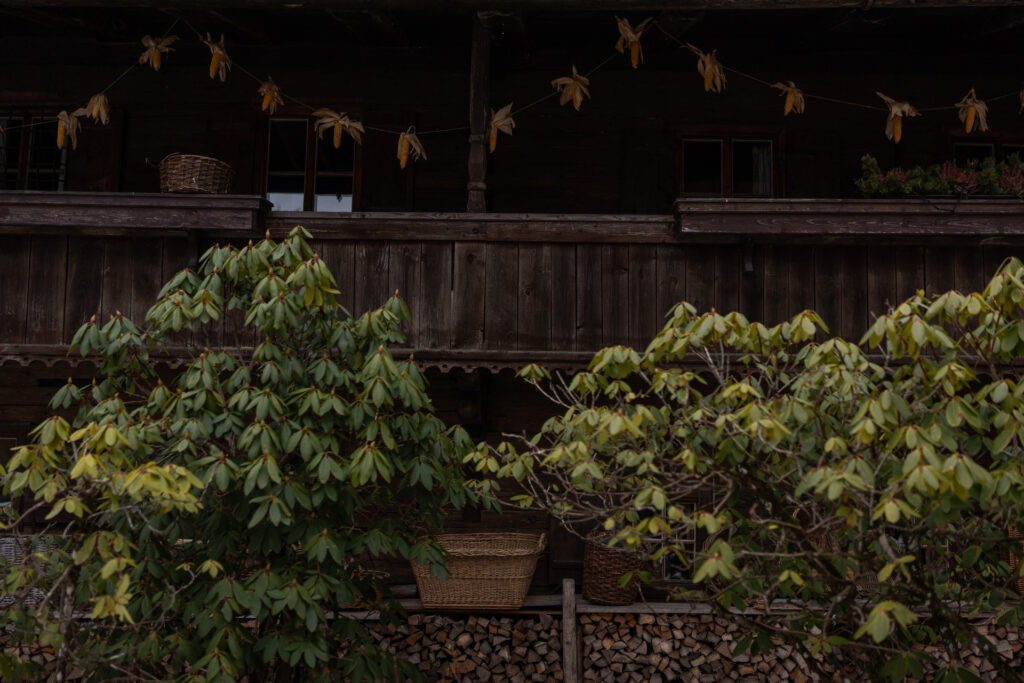 Bis zum Sonnenuntergang. Und noch viel weiter