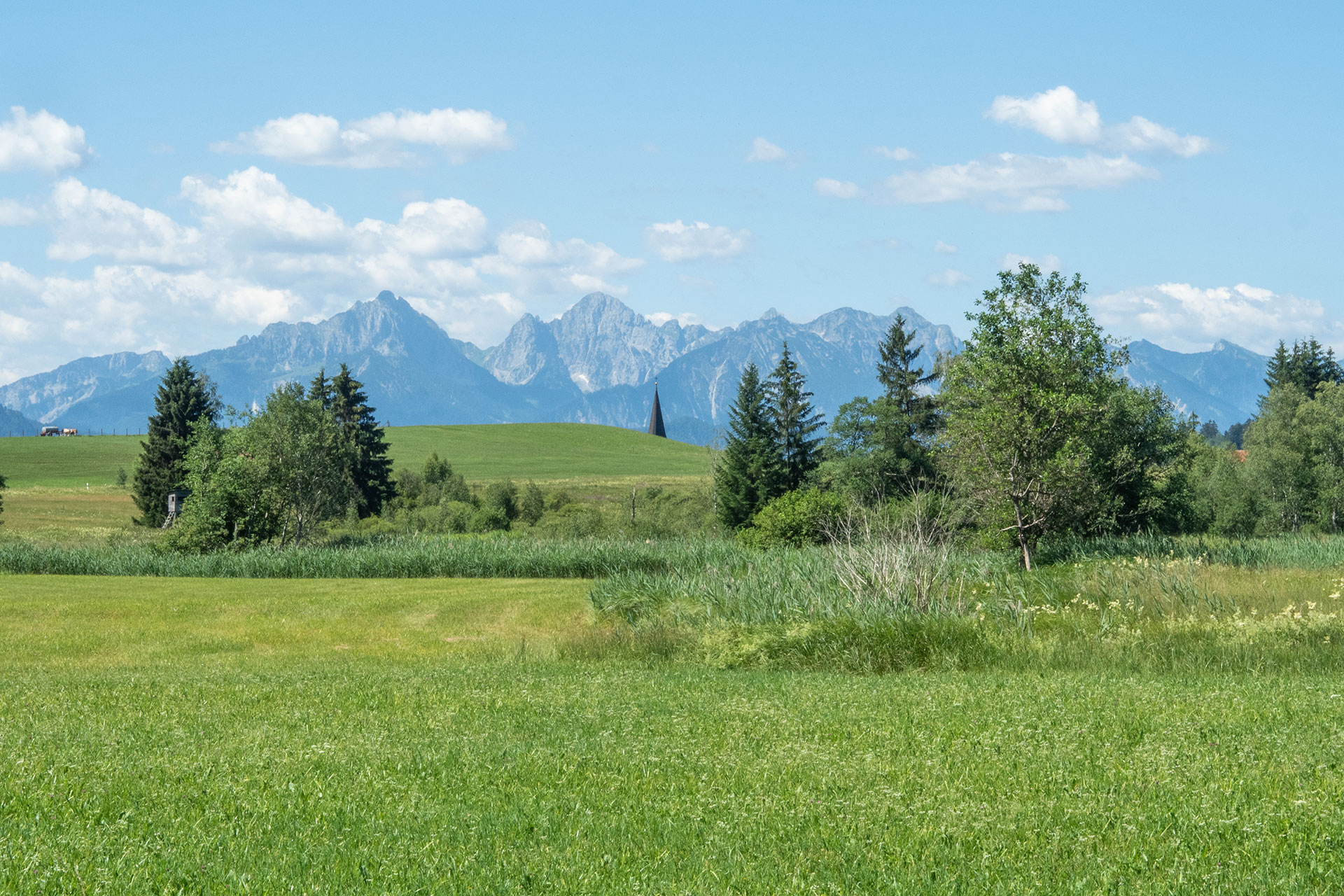 In Wander-Boots zum Märchenschloss. Unterwegs im Allgäu.