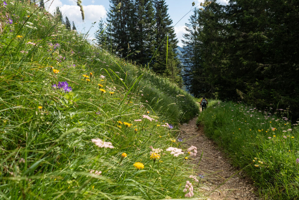 In Wander-Boots zum Märchenschloss. Unterwegs im Allgäu.