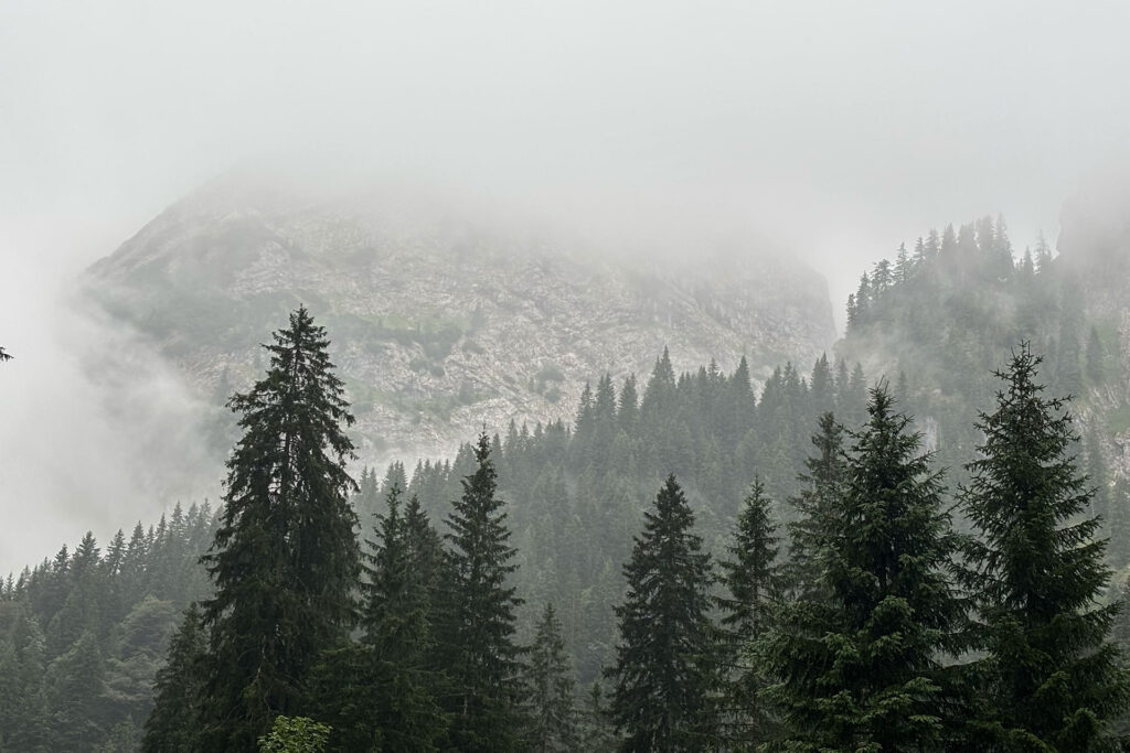 In Wander-Boots zum Märchenschloss. Unterwegs im Allgäu.